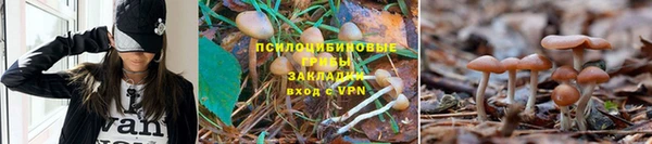 первитин Белоозёрский
