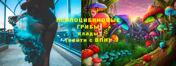 мдпв Белокуриха