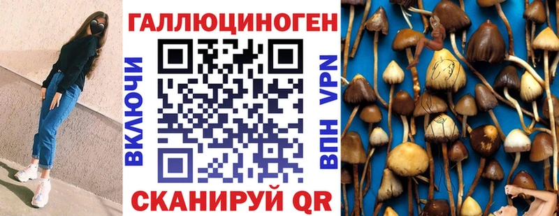 Галлюциногенные грибы MAGIC MUSHROOMS  закладки  Мичуринск 