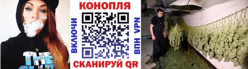 блэк спрут tor  Мичуринск  Канабис VHQ 